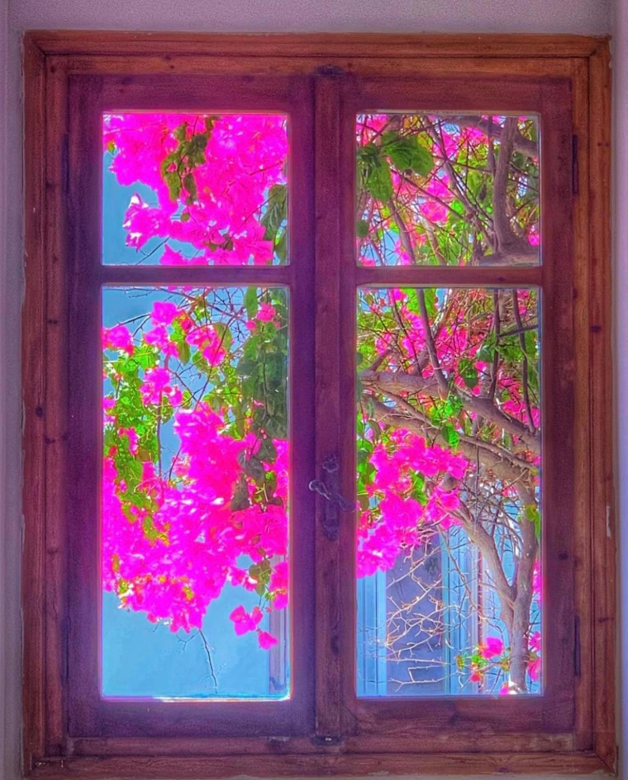 Mare Naxia Hotel Naxos City المظهر الخارجي الصورة